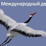 Международный день птиц – взлеты и падения - Краеведческий музей